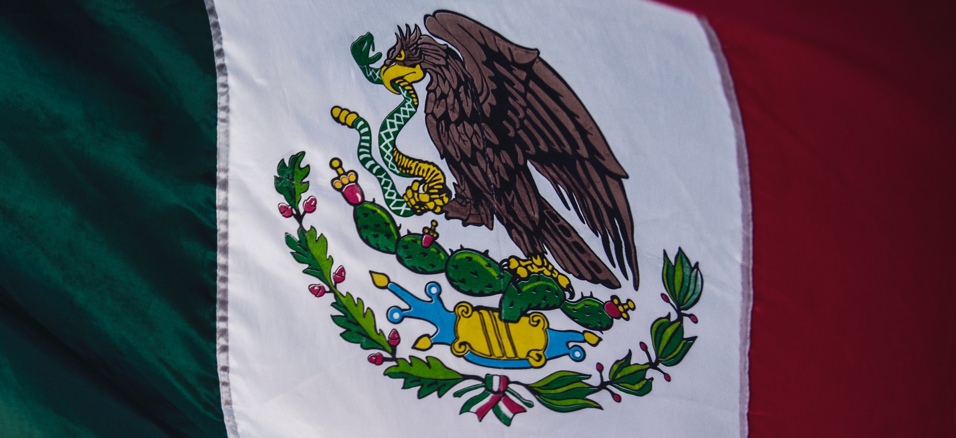 mexican flag eagle